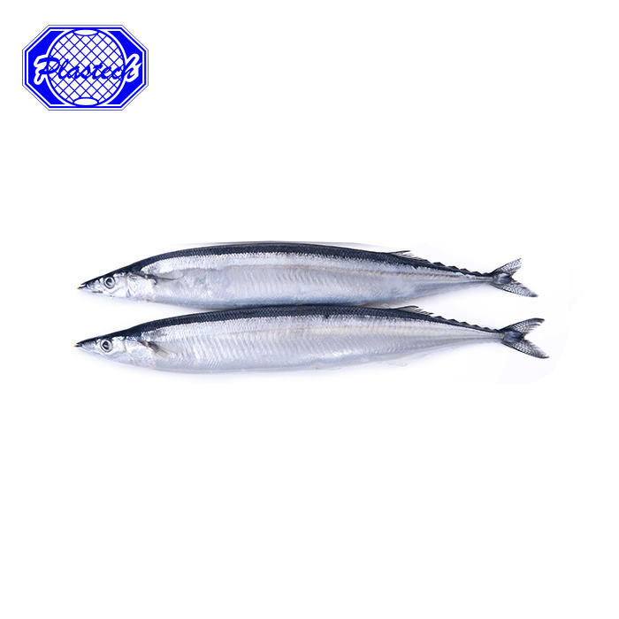 Frozen Pacific Saury Cololabis Saira for Canning